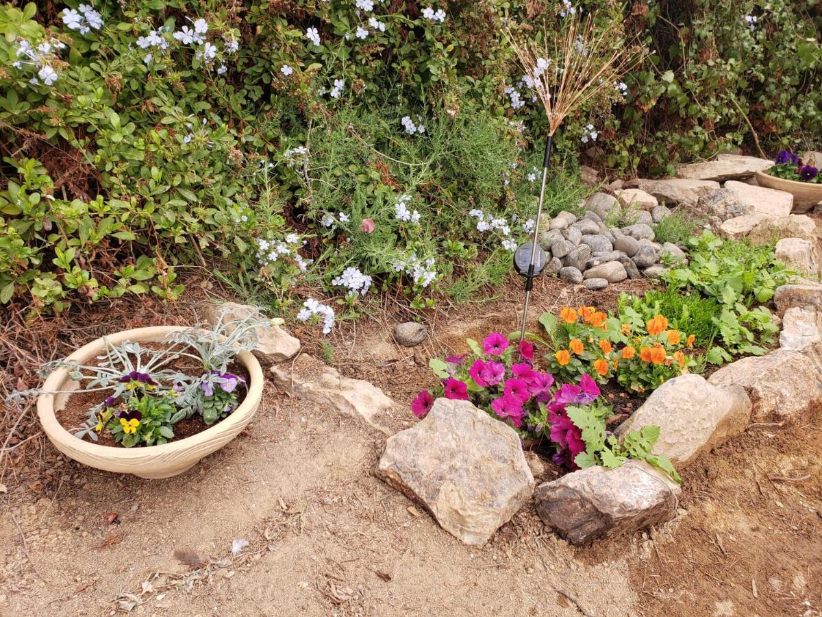 Moonlight Suite Arad צימר אור הירח, ערד Dış mekan fotoğraf