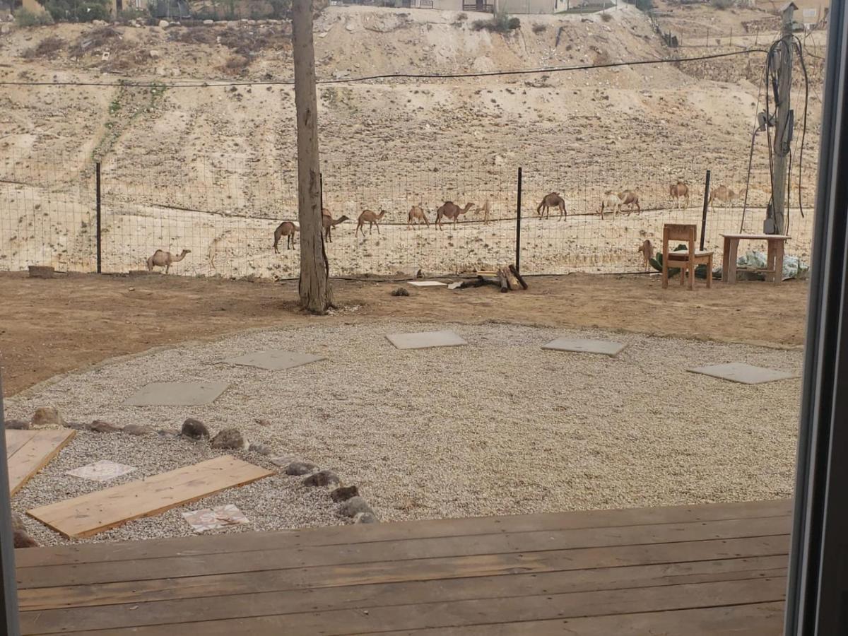 Moonlight Suite Arad צימר אור הירח, ערד Dış mekan fotoğraf
